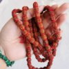 Mala graines de rudraksha rouge ,Mala graines de rudraksha, mala graines de shiva, mala méditation, japa mala , amethyste, howlite, turquoise, méditation , yoga, sadhana nepal, mala tibétain, turquoise, howlite, jade, chant mala, mantra
