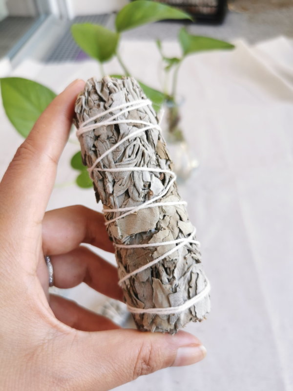 Encens et herbes, encens du népal, sadhana nepal, spiritualité, yoga, méditation, lithothérapie, la sauge blanche, Sauge blanche de californie