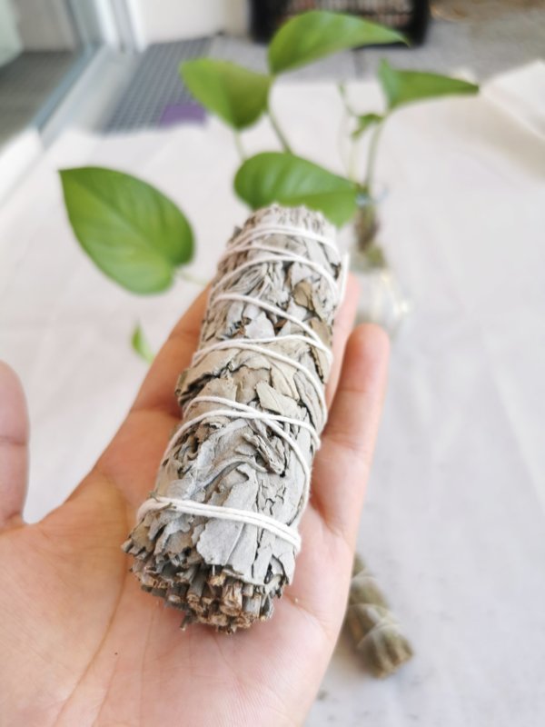 Encens et herbes, encens du népal, sadhana nepal, spiritualité, yoga, méditation, lithothérapie, la sauge blanche, Sauge blanche de californie