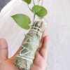 Encens et herbes, encens du népal, sadhana nepal, spiritualité, yoga, méditation, lithothérapie, la sauge blanche, bâtonnet d'eucalyptus, eucalyptus