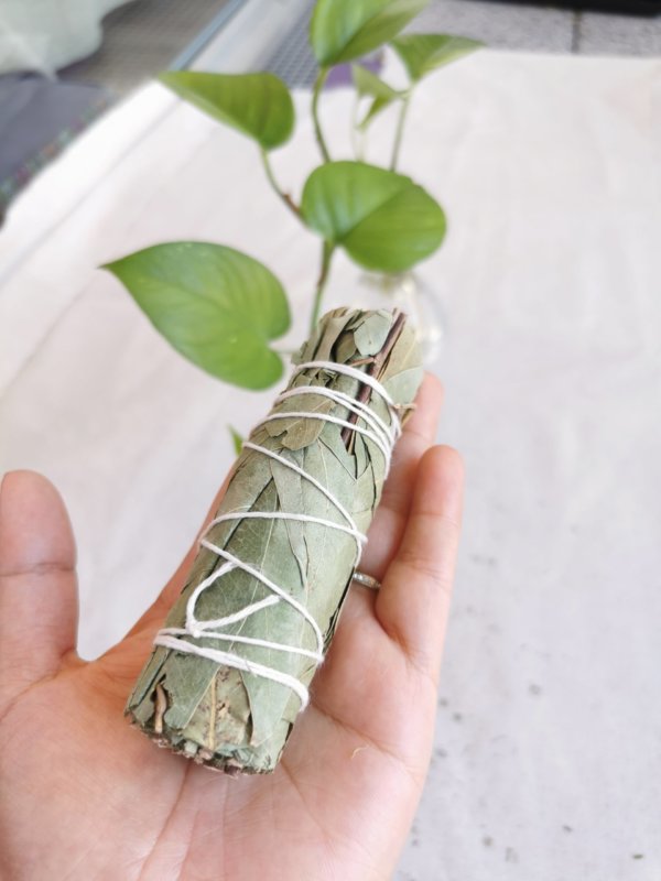 Encens et herbes, encens du népal, sadhana nepal, spiritualité, yoga, méditation, lithothérapie, la sauge blanche, bâtonnet d'eucalyptus, eucalyptus