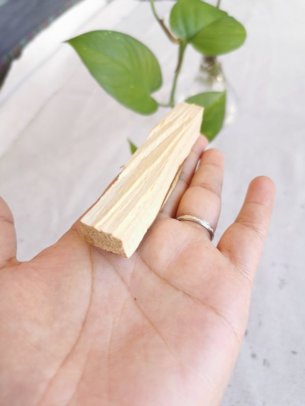 Encens et herbes, encens du népal, sadhana nepal, spiritualité, yoga, méditation, lithothérapie, la sauge blanche, bâton de palo santo, palo santo