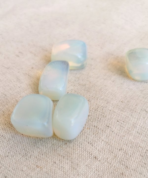 Opalite roulée – Image 5